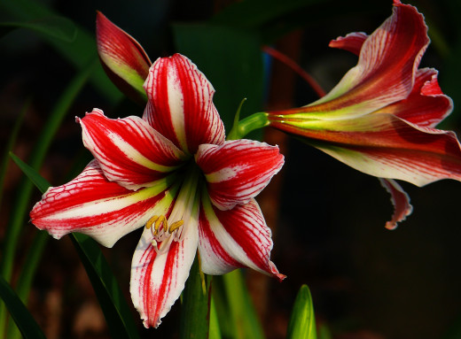 792029 (a): :2048x1508